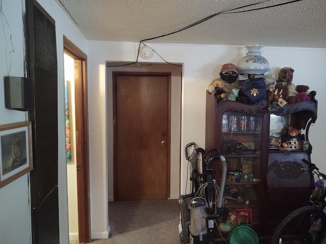 hall featuring carpet and a textured ceiling