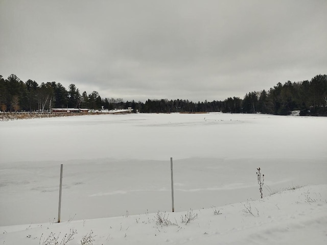 view of snowy yard