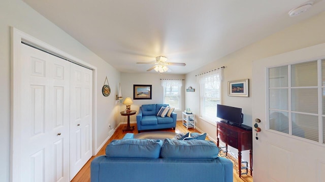 living room featuring ceiling fan and wood-type flooring