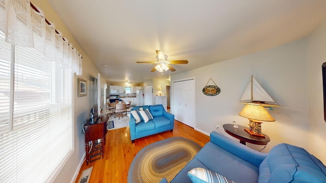 living room with ceiling fan and wood-type flooring