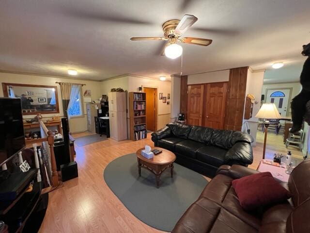 living room with ceiling fan, light hardwood / wood-style floors, and crown molding