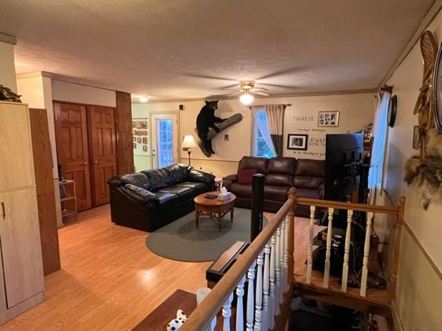 living room featuring ceiling fan, light hardwood / wood-style flooring, and crown molding