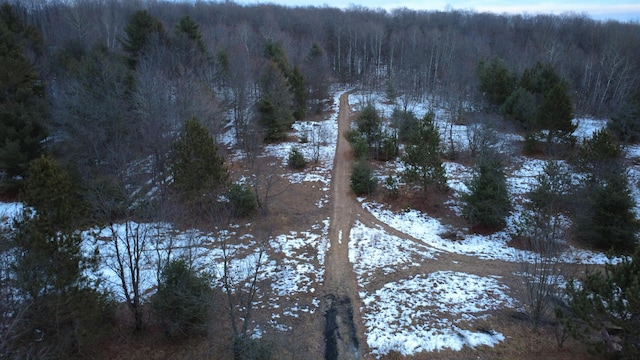 view of snow covered land