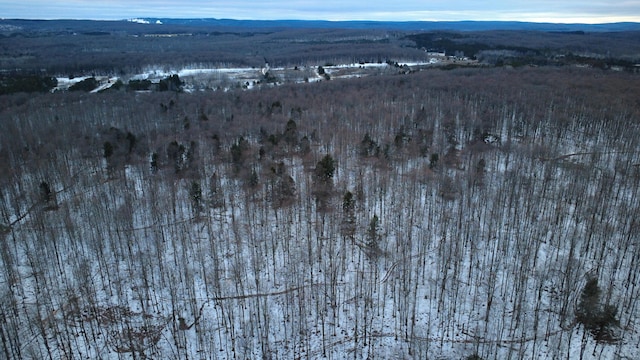 snowy aerial view featuring a mountain view