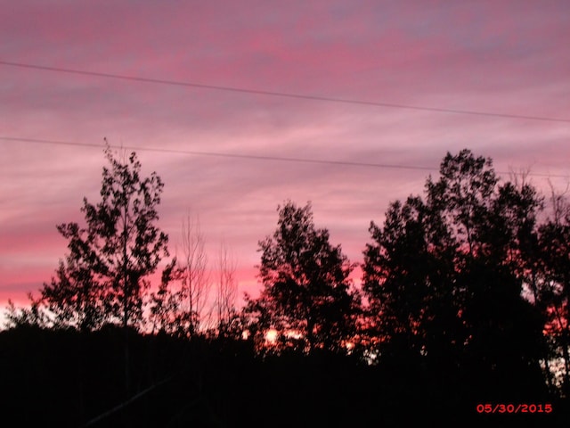 view of nature at dusk