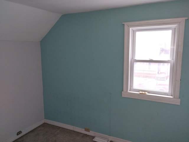 additional living space featuring carpet and lofted ceiling