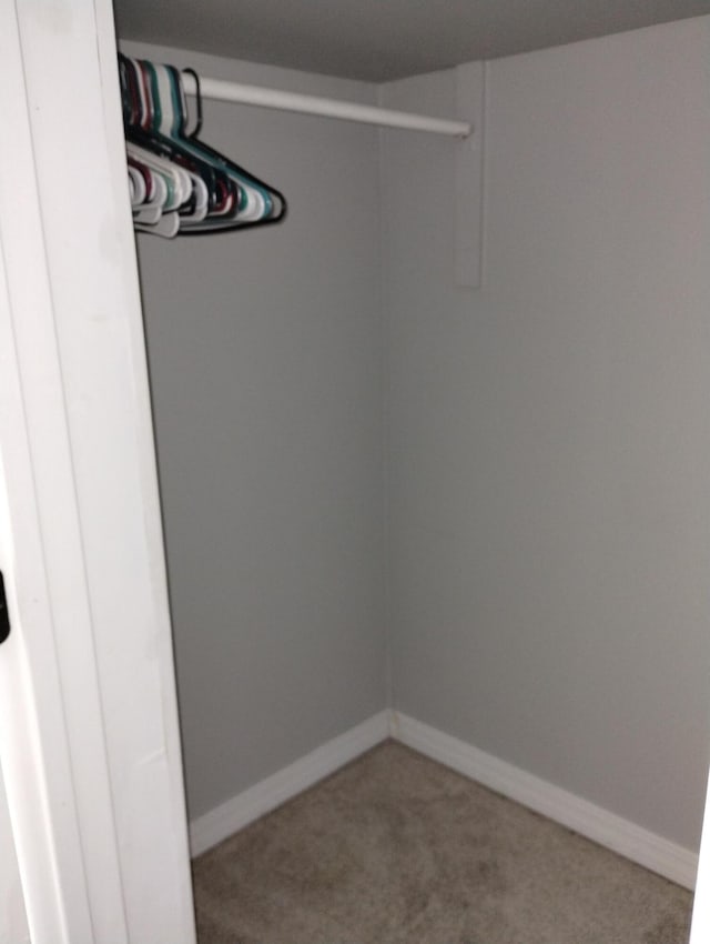 spacious closet featuring carpet floors