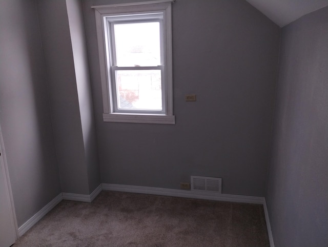 additional living space with plenty of natural light, carpet, and vaulted ceiling