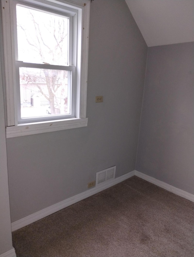 additional living space with carpet and vaulted ceiling