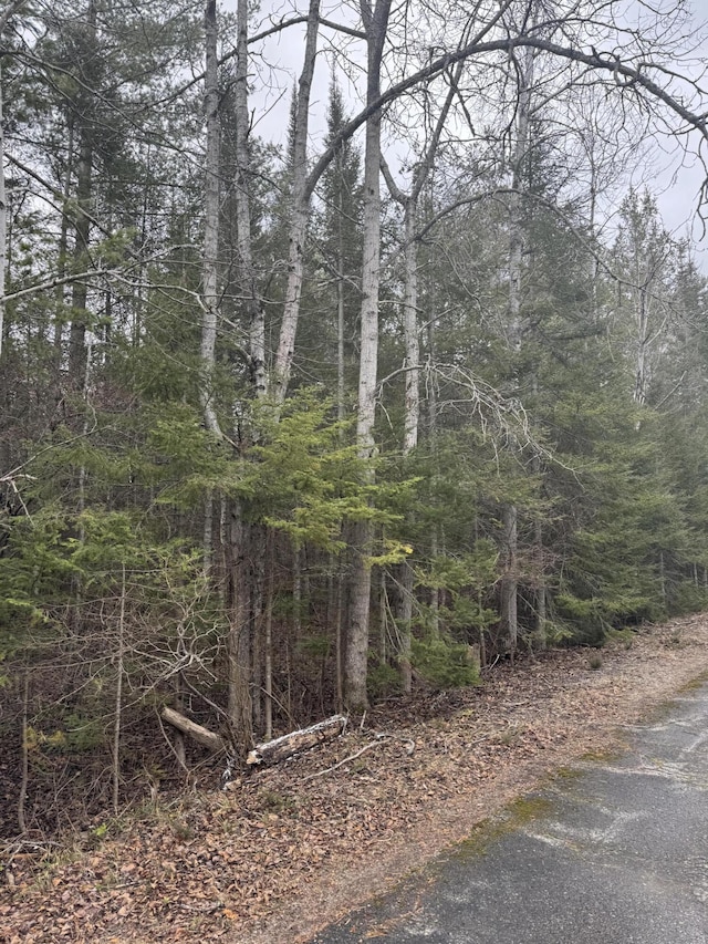 Listing photo 3 for LOT192 Sunaqua Dr, Presque Isle MI 49777