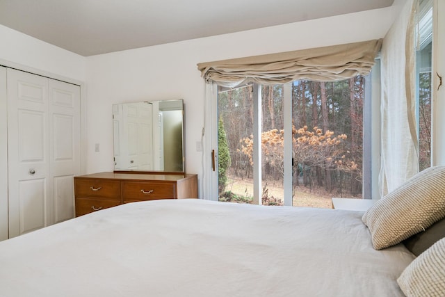 bedroom featuring multiple windows and a closet