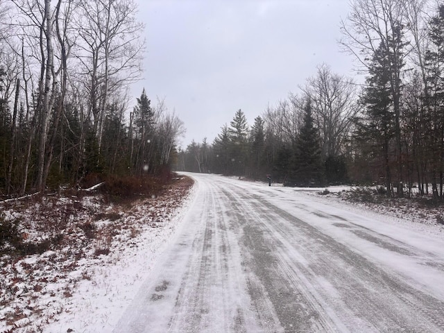 Listing photo 3 for Pineview Drive Lots 251 & 252, Presque Isle MI 49777