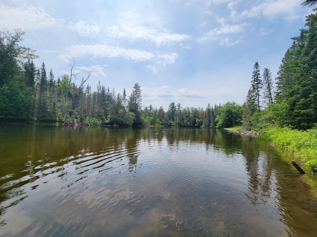 view of water feature