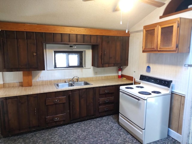 kitchen with tasteful backsplash, dark brown cabinetry, sink, and white electric range oven