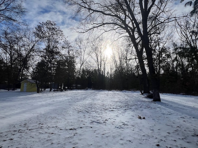 view of snowy yard