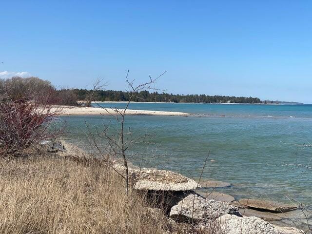 LOT2 E Huron Ave Unit 43Acres, Rogers City MI, 49779 land for sale