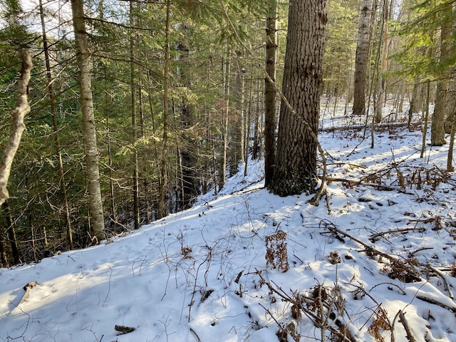 Listing photo 3 for 4409 Big Sky Trl Lot # 17, Indian River MI 49749