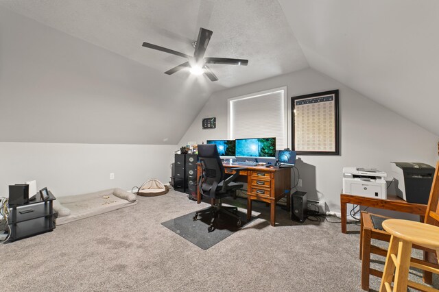 living room with wood walls, a paneled ceiling, and carpet