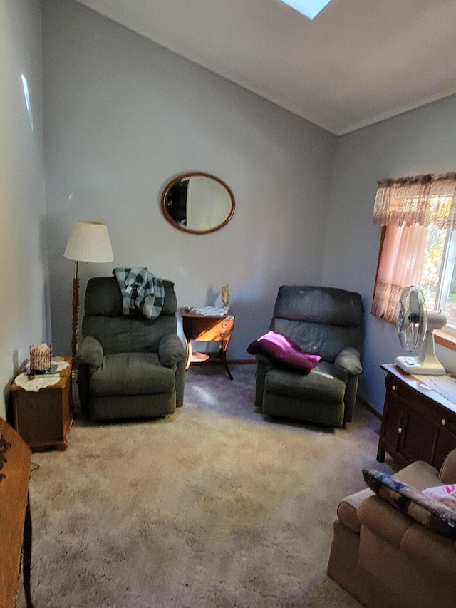 carpeted living room with a skylight