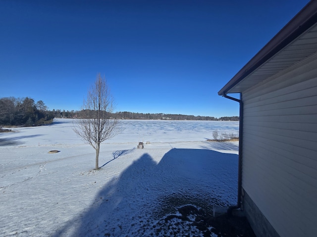 view of snowy yard