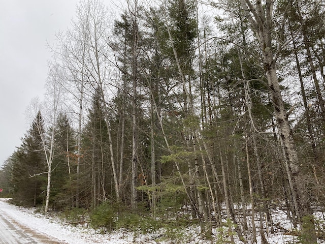 LOT341 Northland Heights Dr Unit 122-211-000-341-00, Presque Isle MI, 49777 land for sale