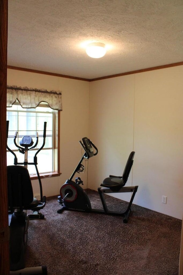 workout area featuring crown molding, carpet floors, and a textured ceiling