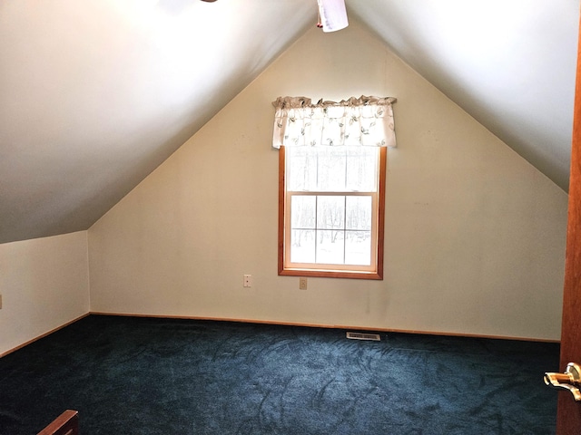 additional living space featuring carpet floors and lofted ceiling