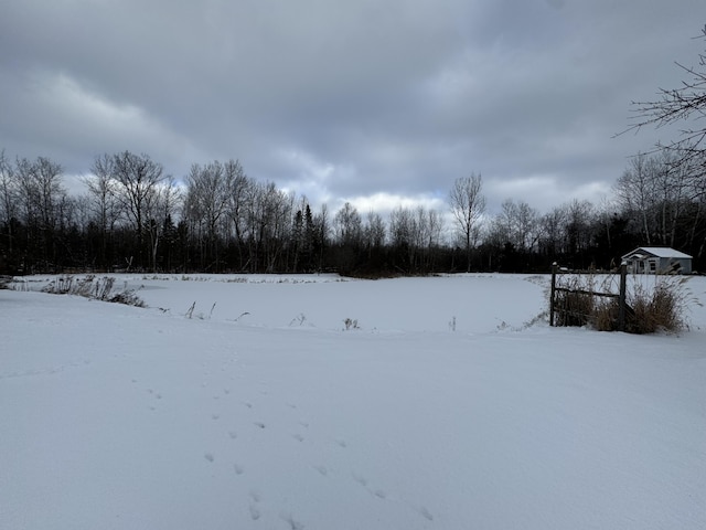 view of snowy yard