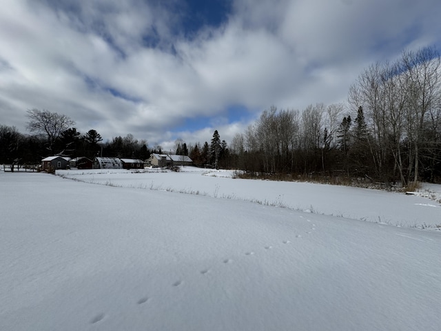 view of yard layered in snow