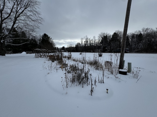 view of yard covered in snow