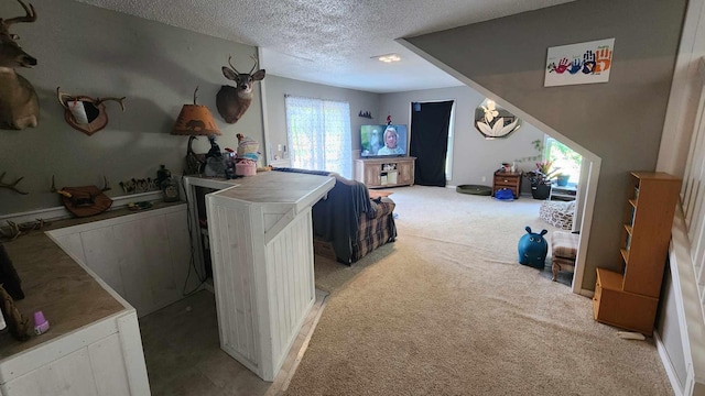 laundry area featuring a textured ceiling and carpet