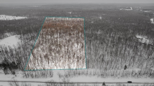 Listing photo 2 for 20ACRES Brudy Rd, Wolverine MI 49799