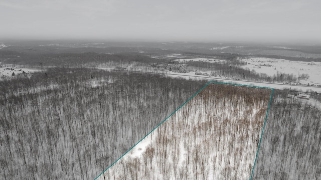 Listing photo 3 for 20ACRES Brudy Rd, Wolverine MI 49799