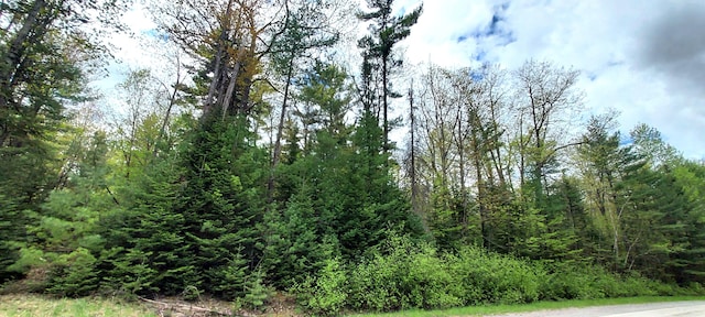 Listing photo 3 for TBD W Shore Drive Lots 103 & 104, Millersburg MI 49759