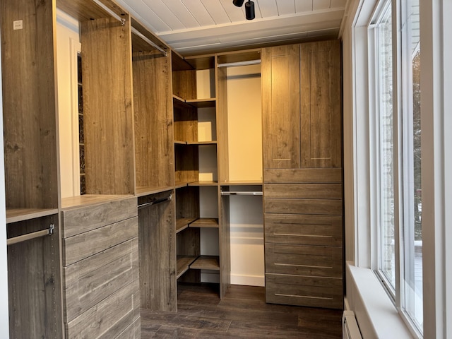 spacious closet featuring dark hardwood / wood-style flooring