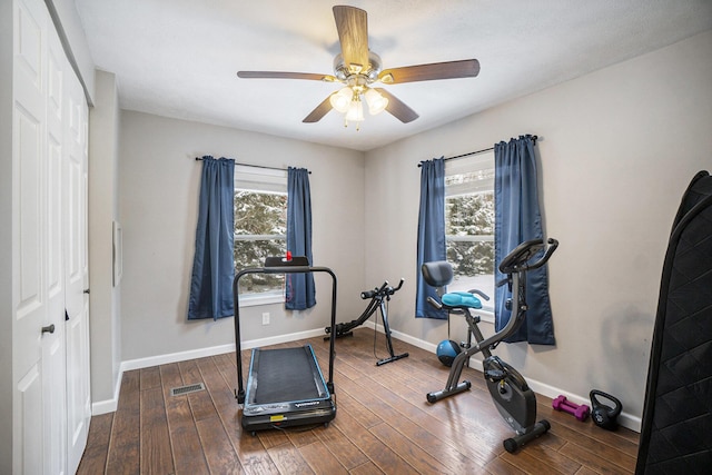 workout room with ceiling fan and dark hardwood / wood-style flooring