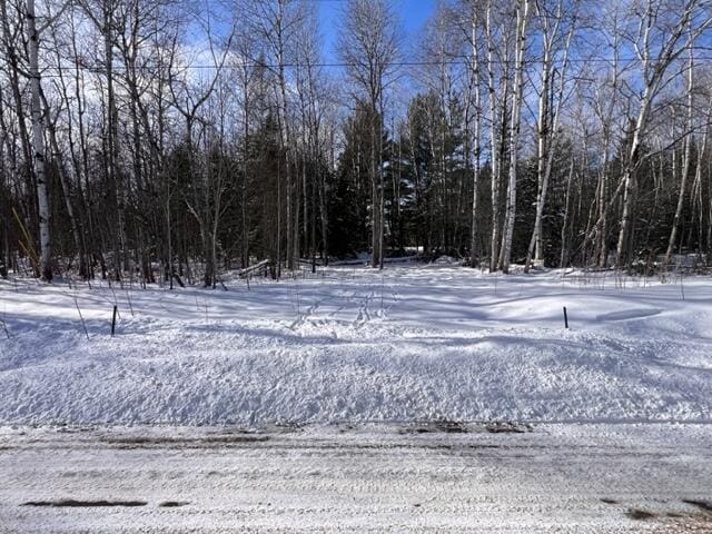 Listing photo 3 for 15262 Valley Dr Lot 17, Wolverine MI 49799