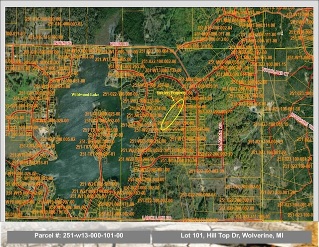 Listing photo 2 for LOT101 Hill Top Dr, Wolverine MI 49799