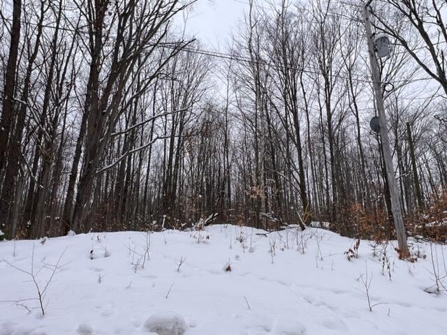 Listing photo 3 for LOT101 Hill Top Dr, Wolverine MI 49799