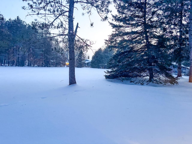 view of yard covered in snow