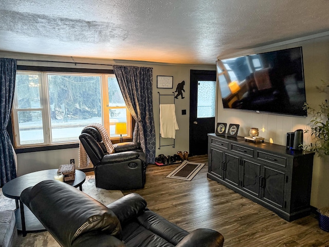 living room featuring dark wood-type flooring and a textured ceiling