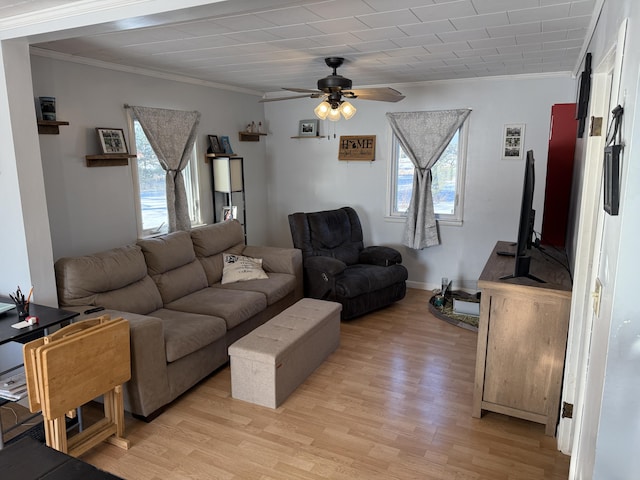 living room with ceiling fan, ornamental molding, and light hardwood / wood-style flooring