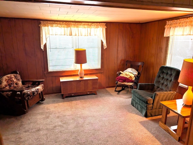 sitting room with light colored carpet and wood walls