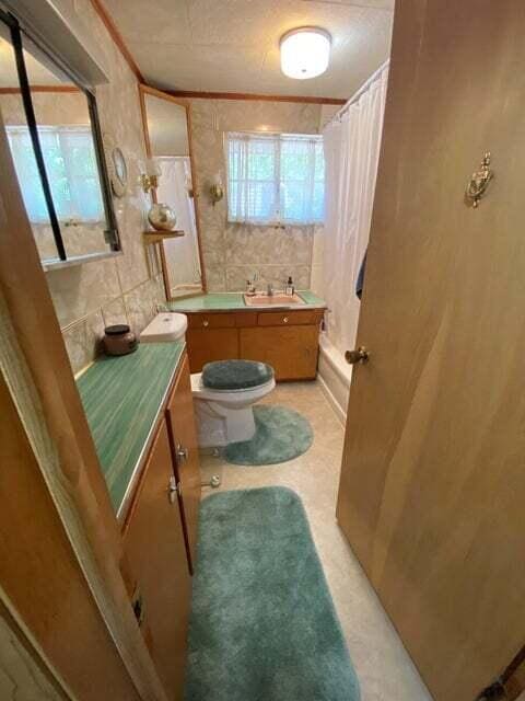 bathroom featuring crown molding, vanity, and toilet