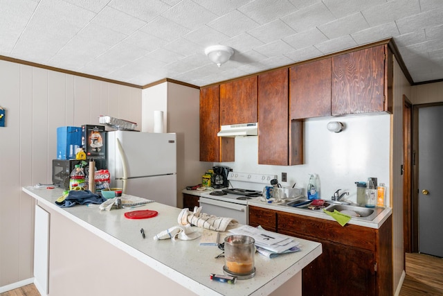 kitchen with white appliances, ornamental molding, wooden walls, and sink