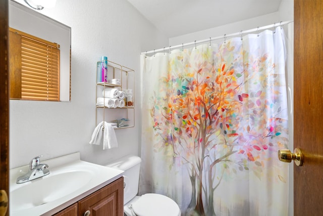 bathroom featuring vanity, toilet, and a shower with shower curtain