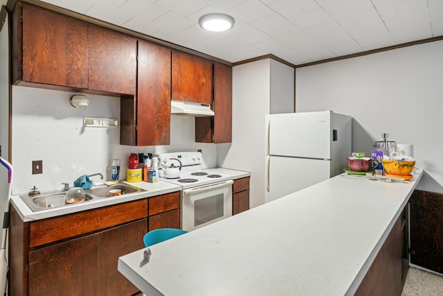 kitchen featuring crown molding, sink, and white appliances