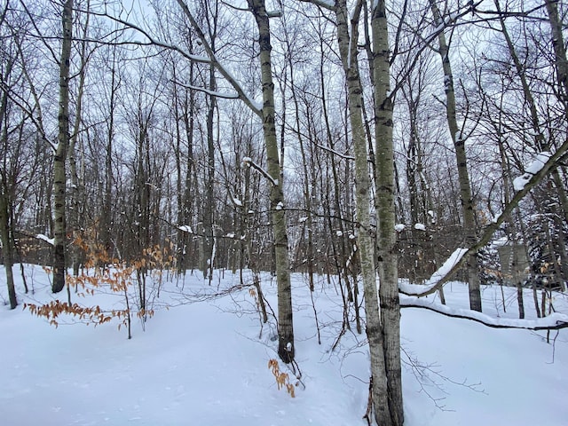 Listing photo 3 for Snow Owl Ct Lots 1871, 1872, Gaylord MI 49735