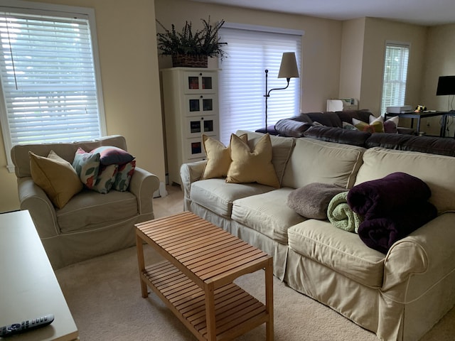 living room with light carpet