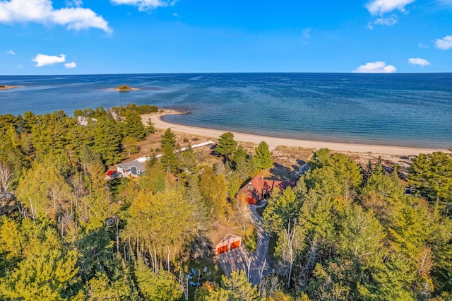 property view of water featuring a view of the beach